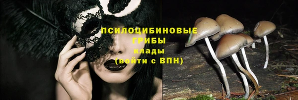 каннабис Нефтекумск
