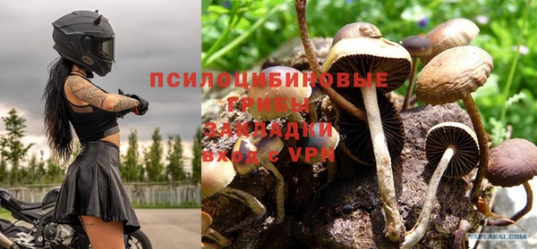 кокс Алексеевка
