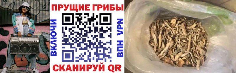 Галлюциногенные грибы MAGIC MUSHROOMS  нарко площадка наркотические препараты  Салехард 